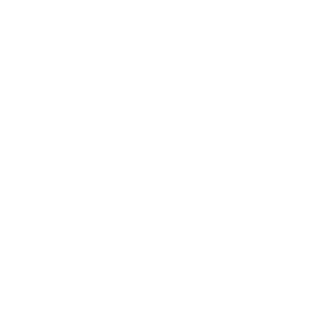 Raccoon Running Loading